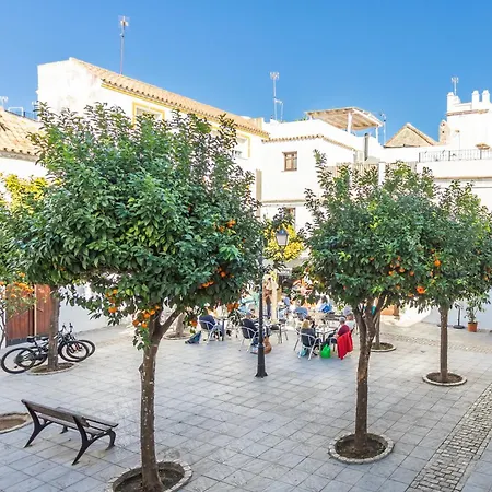 Apartment Con Encanto En Casco Historico